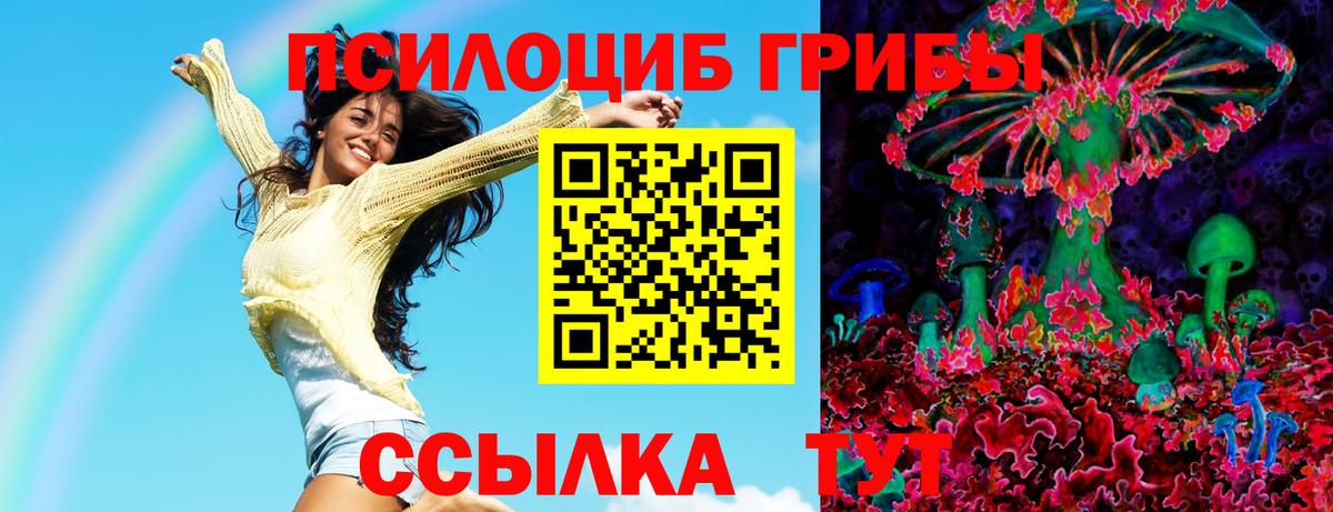 Псилоцибиновые грибы GOLDEN TEACHER  цена   Вход с VPN  Заволжье  Галлюциногенные грибы Psilocybe 