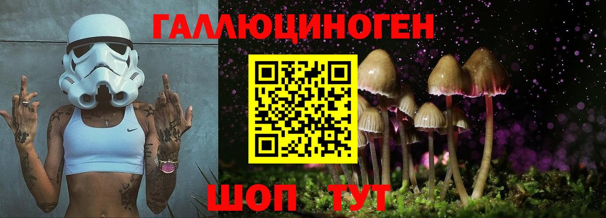 Псилоцибиновые грибы Psilocybe Заволжье